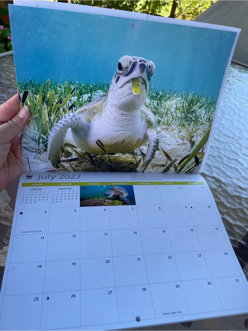 2027 Wildlife Critters Wall Calendar with 2026 Q4 page